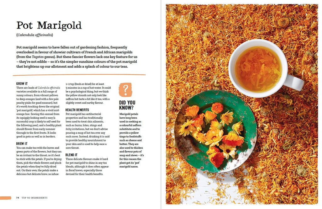 Wild Tea: Brew Your Own Infusions from Home-Grown and Foraged Ingredients