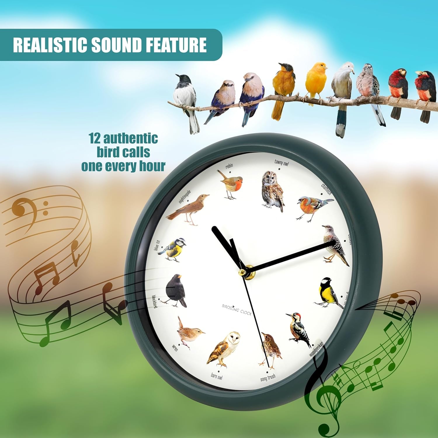 Singing Bird Wall Clock with Native Sounds – 12 Species Including Cuckoo, Robin & Owl – Green Nature-Inspired Design with Auto Night Silence – Educational Novelty for Home, Gift for Bird Lovers