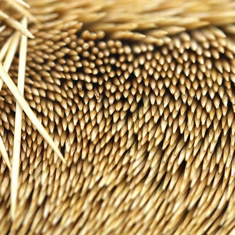 100Pcs Double-Headed Bamboo Toothpicks Natural Bamboo Toothpicks for Home Kitchen Travel Daily Life Oral Wooden Tooth Pick Care