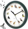 Singing Bird Wall Clock with Native Sounds – 12 Species Including Cuckoo, Robin & Owl – Green Nature-Inspired Design with Auto Night Silence – Educational Novelty for Home, Gift for Bird Lovers