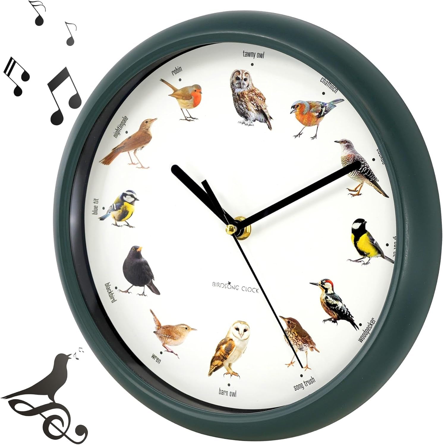 Singing Bird Wall Clock with Native Sounds – 12 Species Including Cuckoo, Robin & Owl – Green Nature-Inspired Design with Auto Night Silence – Educational Novelty for Home, Gift for Bird Lovers