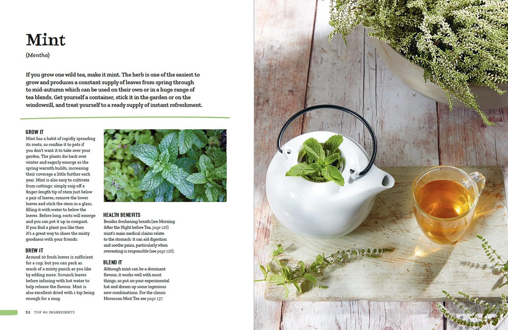 Wild Tea: Brew Your Own Infusions from Home-Grown and Foraged Ingredients