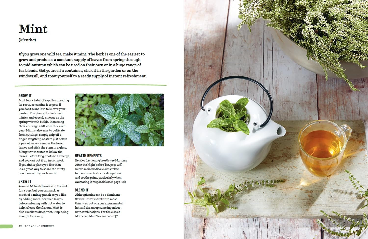 Wild Tea: Brew Your Own Infusions from Home-Grown and Foraged Ingredients