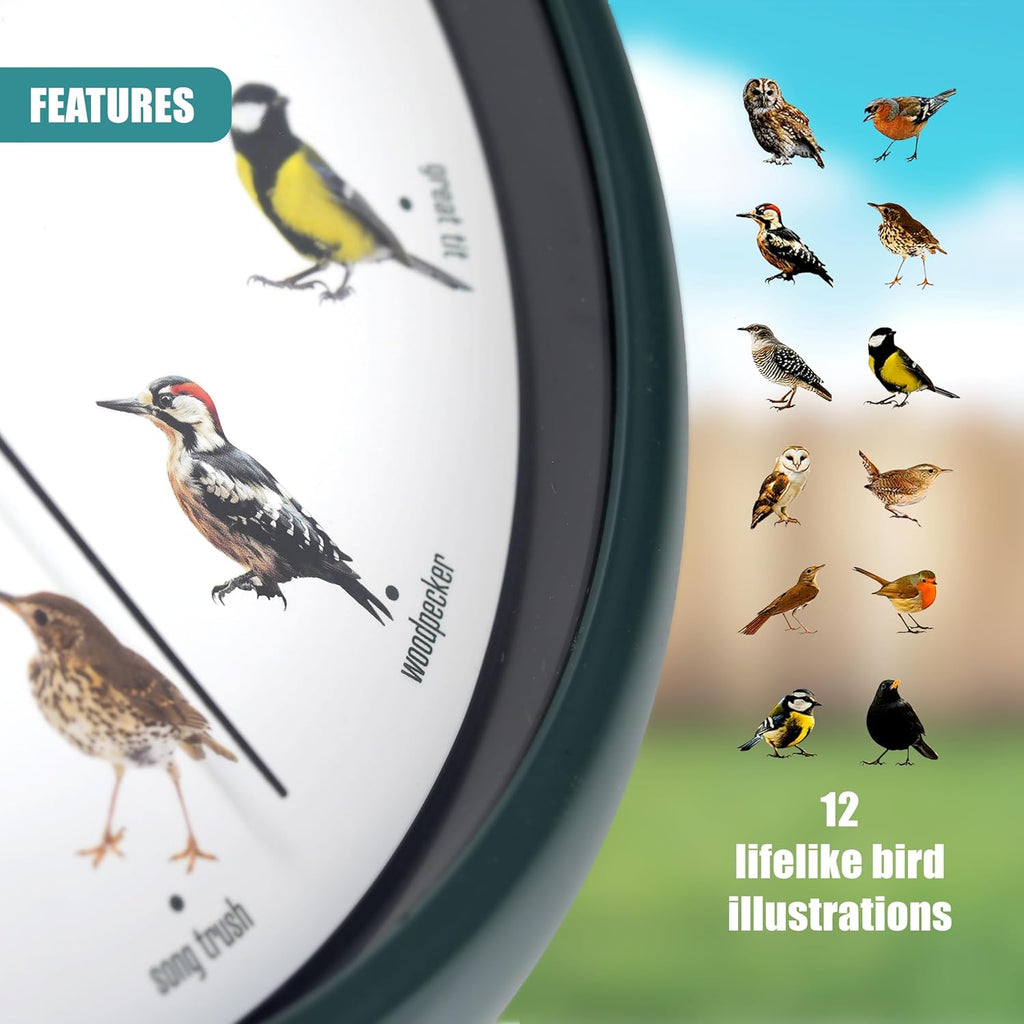 Singing Bird Wall Clock with Native Sounds – 12 Species Including Cuckoo, Robin & Owl – Green Nature-Inspired Design with Auto Night Silence – Educational Novelty for Home, Gift for Bird Lovers