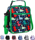 Kids Lunch Bag, Reusable Lunch Bag with Adjustable Strap, Insulated Picnic Bag (Dinosaur)