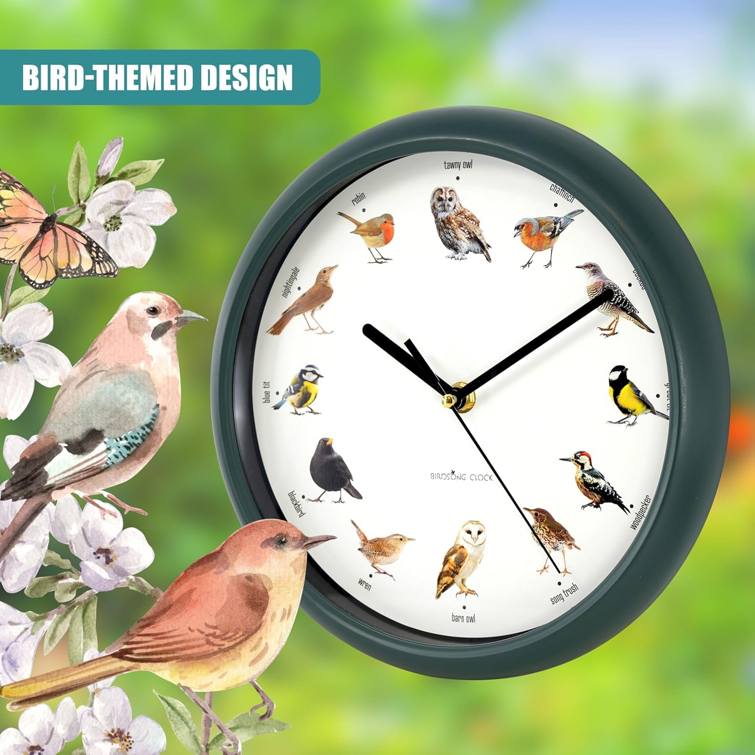 Singing Bird Wall Clock with Native Sounds – 12 Species Including Cuckoo, Robin & Owl – Green Nature-Inspired Design with Auto Night Silence – Educational Novelty for Home, Gift for Bird Lovers
