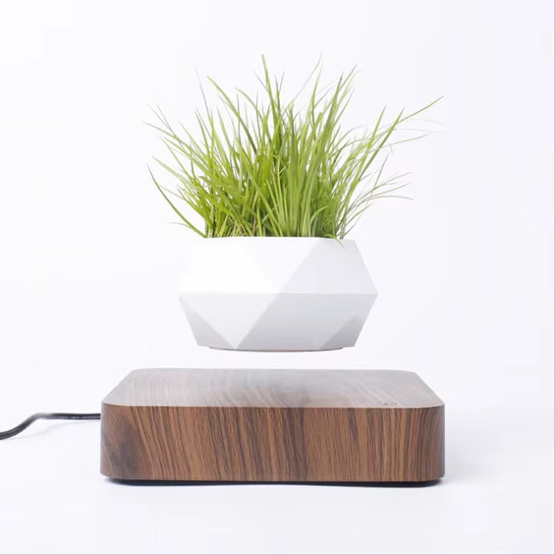 Levitating Air Bonsai Pot Rotation Flower Pot Planters Magnetic Suspension Floating Pot Potted Plant Home Desk Decor